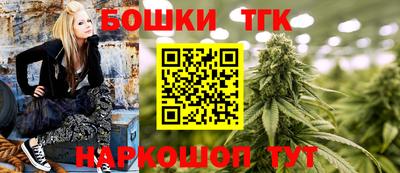 МДПВ Дубна