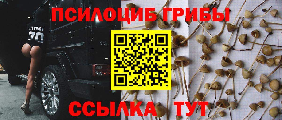 Псилоцибиновые грибы ЛСД Нерюнгри