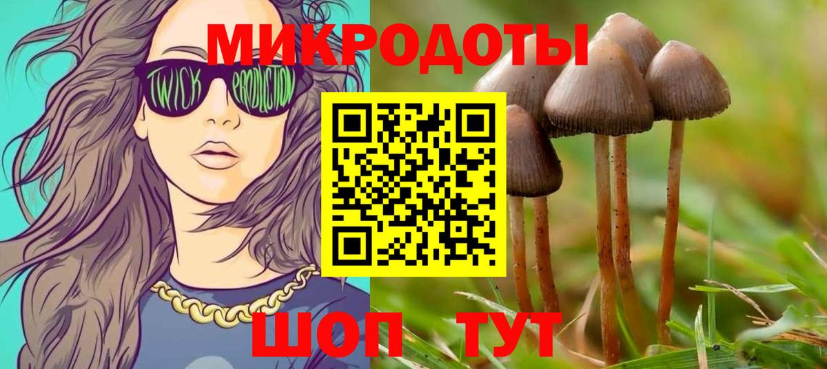 Галлюциногенные грибы Psilocybine cubensis  Вход с VPN  Галлюциногенные грибы мухоморы  Нерюнгри 